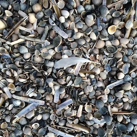 Vloedlijn Texel 3* Den Burg