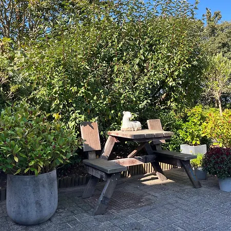 לינה וארוחת בוקר Vloedlijn Texel 3*