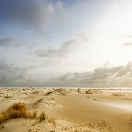 לינה וארוחת בוקר Vloedlijn Texel דה בורג