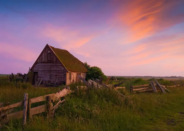 Vloedlijn Texel Bed and breakfast