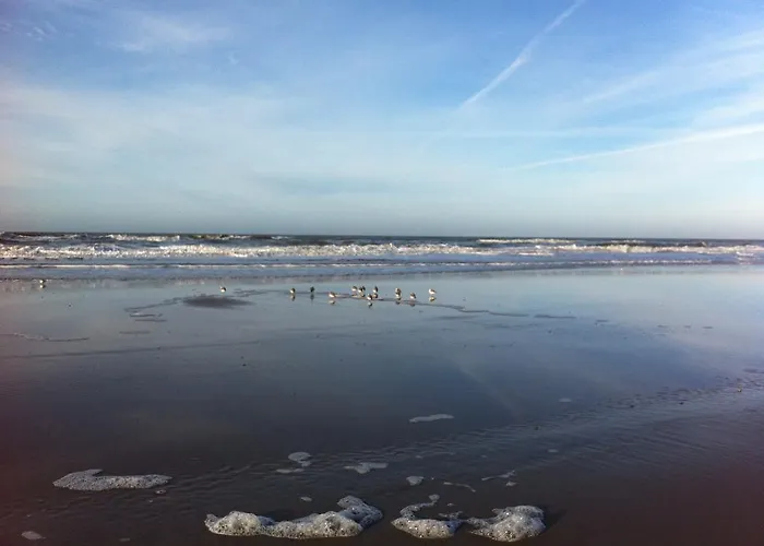 Vloedlijn Texel Bed and breakfast